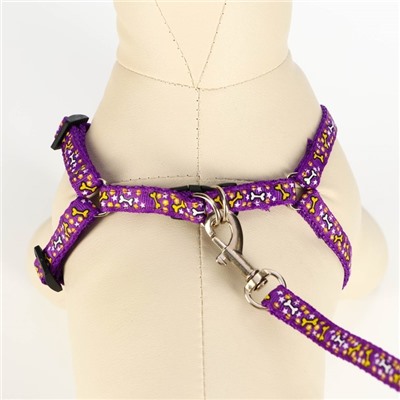 Шлейка с поводком «Звёздные косточки», 23-35 см, ширина 1 см, поводок 120 см, фиолетовая