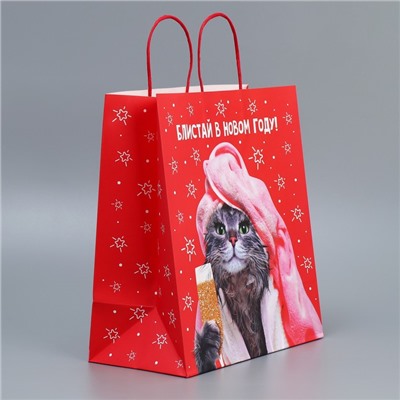 Пакет подарочный новогодний крафтовый «Блистай», 28×32×15 см