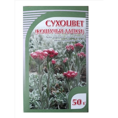 Сухоцвет (кошачьи лапки), трава 50 гр.
