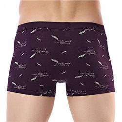 Трусы-боксеры А08527280