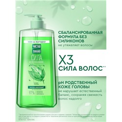 Шампунь для волос Чистая линия «Сила и густота» с экстрактом крапивы, 1000 мл