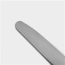 Столовые приборы «Аппетит», 24 предмета, нержавеющая сталь, цвет ручек чёрный