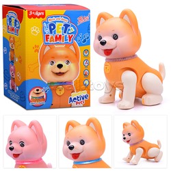 Развивающая игрушка "Собака" в коробке