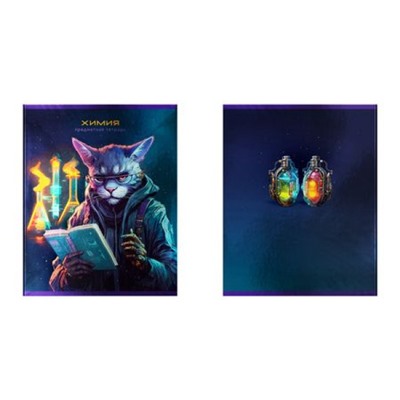 Тетрадь  48л "Мир будущего-Химия" со справ. материалом 56330 BG