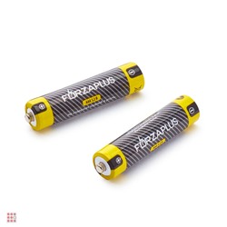 Аккумулятор Forza Ni-Mh 600mAh AAА 2шт в блистере 1, 2В