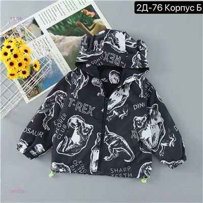 ветровка 1975756-1