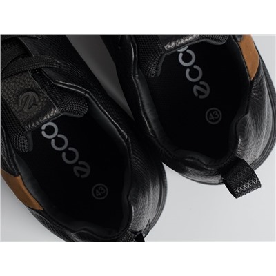 Кроссовки Ecco Biom