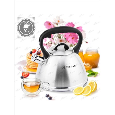 ZEIDAN Чайник Z-4468