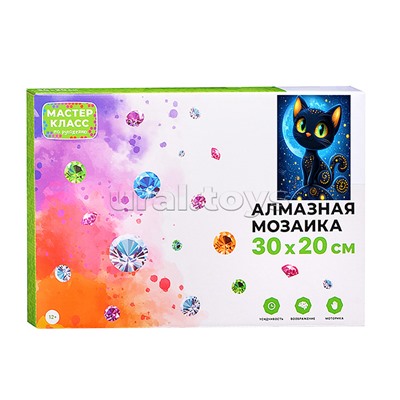 Мозаика алмазная "Черный кот" 20*30см.