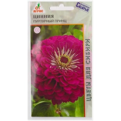 Цинния Пурпурный принц (Код: 67838)