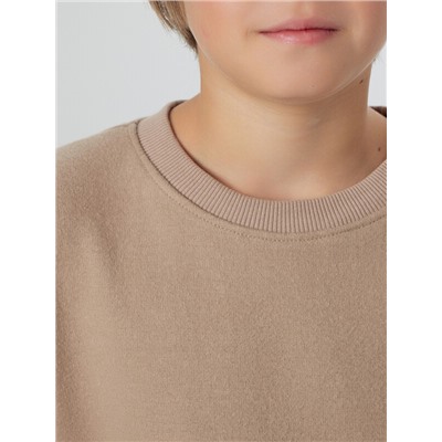 СВИТШОТ ДЛЯ МАЛЬЧИКОВ 123489