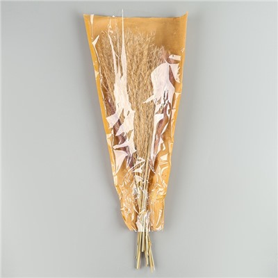 Сухоцветы «Лагурус», набор из 3 видов, 48×16×6 см