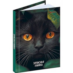 Записная книжка А6  96л клетка "ВЗГЛЯД ЧЁРНОГО КОТА" 96-7563 Проф-Пресс
