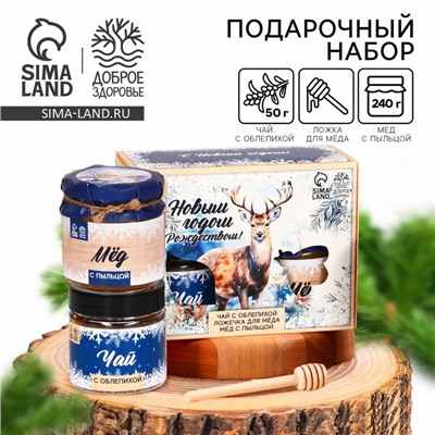 Подарочный набор новогодний «С новым годом и Рождеством», мёд с пыльцой 250 г, чай 50 г, ложка