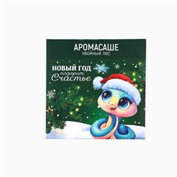 Набор Аромасаше в конверте «Новогодний», 4 шт., 11 х 11 см