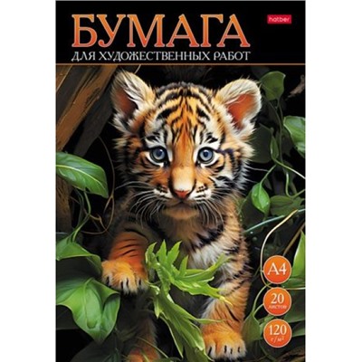Папка для рисования А4 20л "Тигренок" 120г/м2 (085648) 30727 Хатбер