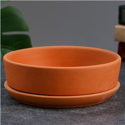 Горшок бонсайница "Огма" для кактусов и суккулентов, 0,7л, 15×5,5 см, керамический, терракот