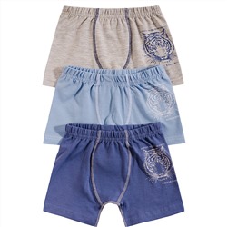 310699 (Трусы для мальчика боксеры, Baykar )