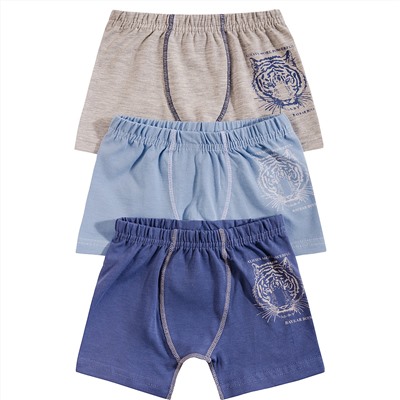 310699 (Трусы для мальчика боксеры, Baykar )