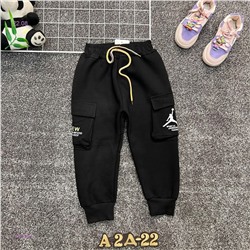 Штаны 1981380-1