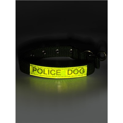 Ошейник двухслойный с вертлюгом, 2.5 см, зелёный