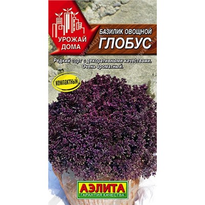 Базилик Глобус овощной Урожай дома