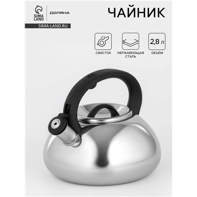 Чайник Доляна «Квант», 2.8 л, со свистком, фиксированная ручка, нержавеющая сталь, хромированный