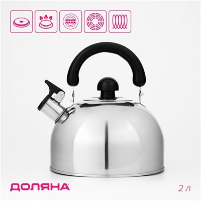 Чайник Доляна «Чёрная ночь», 2 л, со свистком, индукция, нержавеющая сталь, хромированный
