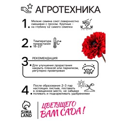 Семена цветов Календула махровая «Ред виз блэк центр», 0.3 г, «Рецепты дедушки Никиты»