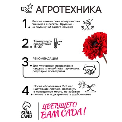 Семена цветов Календула махровая «Ред виз блэк центр», 0.3 г, «Рецепты дедушки Никиты»