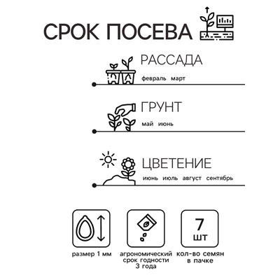 Семена  Петуния "Мамбо" F1 белая многоцветковая,набор 5 шт