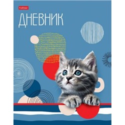 Дневник 1-11 класс (твердая обложка) "Пушистик" (085748) 30254 Хатбер