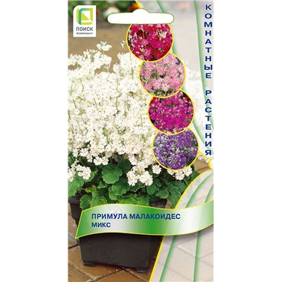 Примула малакоидес Микс (комн) (П)