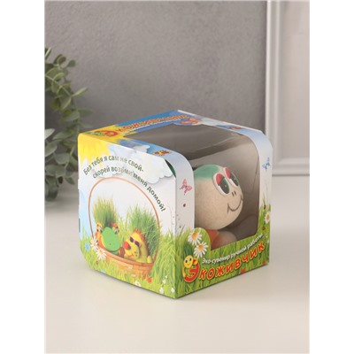 Набор для выращивания «ЭкоЖивчик. Черепаха новинка», фигурка растущая в подарочной упаковке