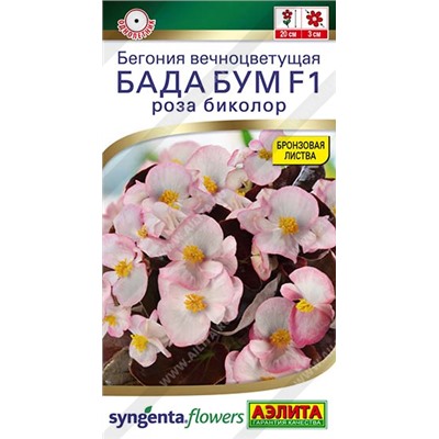Бегония Бада Бум роза биколор (Код: 93732)
