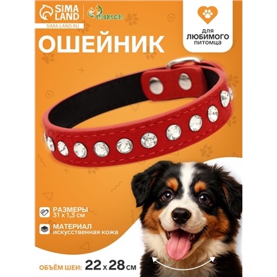 Ошейник «Бархат и стразы», 31×1.3/2 см, ОШ 22-28 см, красный