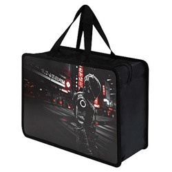 Папка пластиковая для тетрадей А4 на молнии с ручками "ГОНЩИК В ШЛЕМЕ" 72349 Феникс