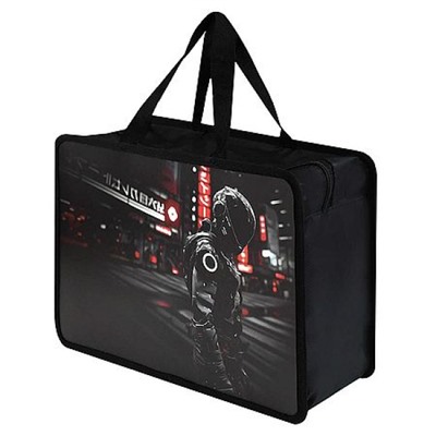 Папка пластиковая для тетрадей А4 на молнии с ручками "ГОНЩИК В ШЛЕМЕ" 72349 Феникс