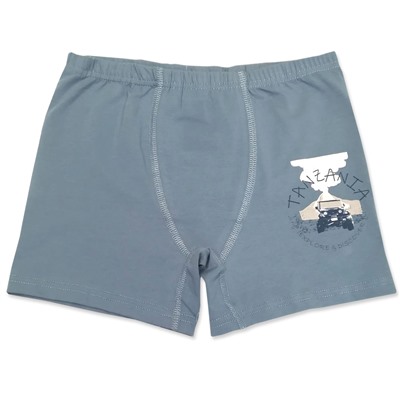 3664 Боксеры для мальчиков многоцвет (BAYKAR)