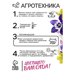 Семена Аквилегия "Маккана Гигант", ц/п,  0,1 гр.