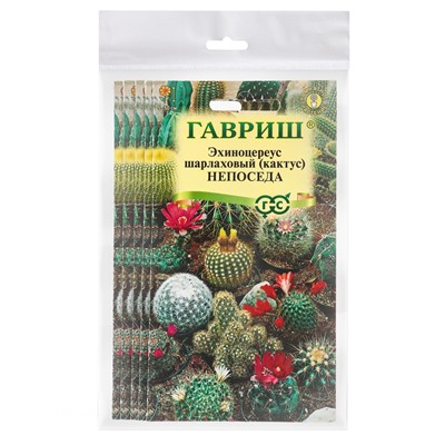 Набор семян комнатных Кактус "Непоседа",  5 шт.