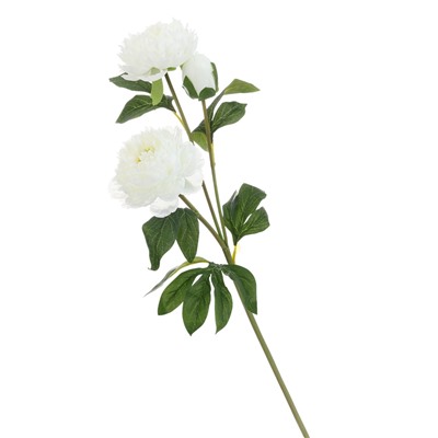 Цветы искусственные «Пион Беверли люкс», h=60 см, белые