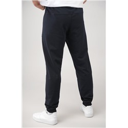 Мужские брюки из футера двухнитки Happyfox