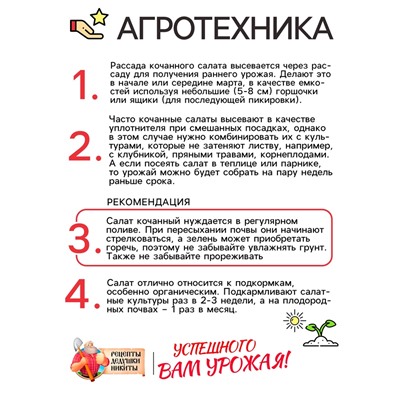 Семена Салат кочанный "Всесезонка", 0,5 г