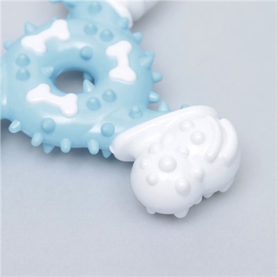 Игрушка для собак «Кость-треугольник», 12 см, двухслойная, твёрдый и мягкий пластик, 12 см, голубая