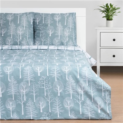 Постельное бельё 2-спальное «Этель» Forest, поплин