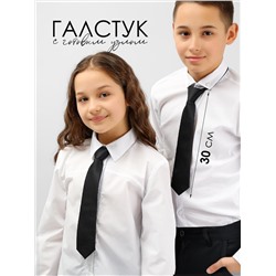 Соль&Перец Галстук SP302A