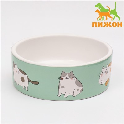Миска «Котяры», 300 мл, 12.5×12.5×4.5 см, керамика, зелёная, белая