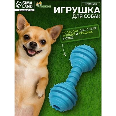 Игрушка жевательная «Чемпион», TPR, 12.5 см, голубая
