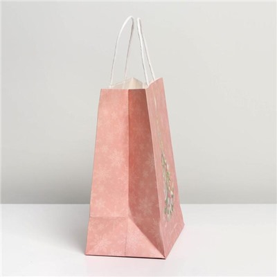 Пакет подарочный новогодний крафтовый «С Новым годом», 22×25×12 см